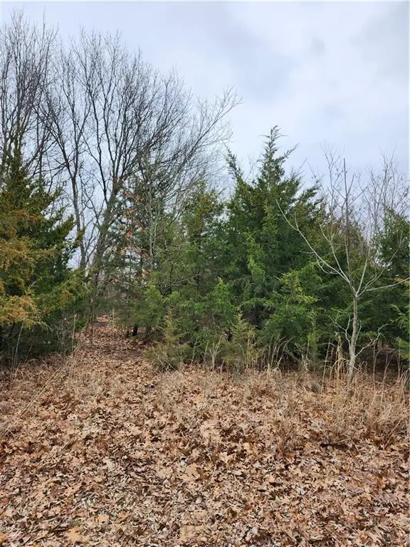 146 Boxelder Drive, Linn Valley, KS 66040 - #2