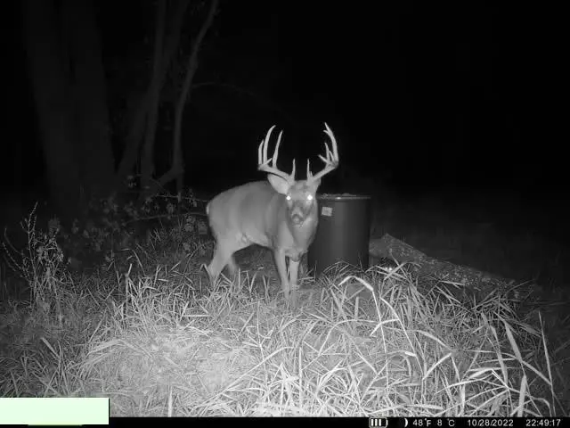 0001 Edgerton Junction Road, Green, MO 64018 - #3