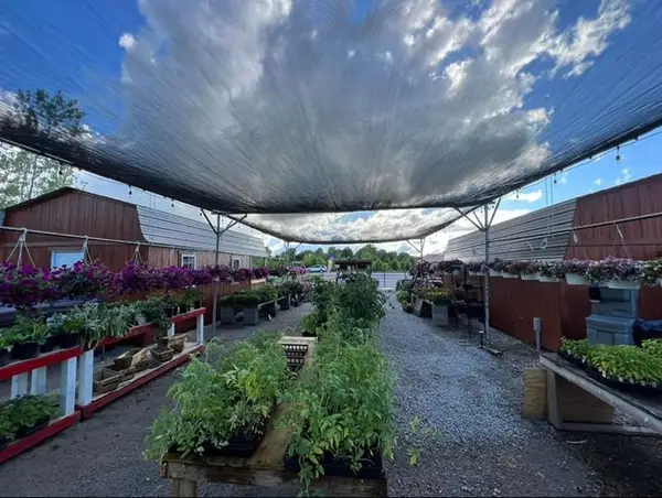 1451 S Buckner Tarsney Road, Grain Valley, MO 64029