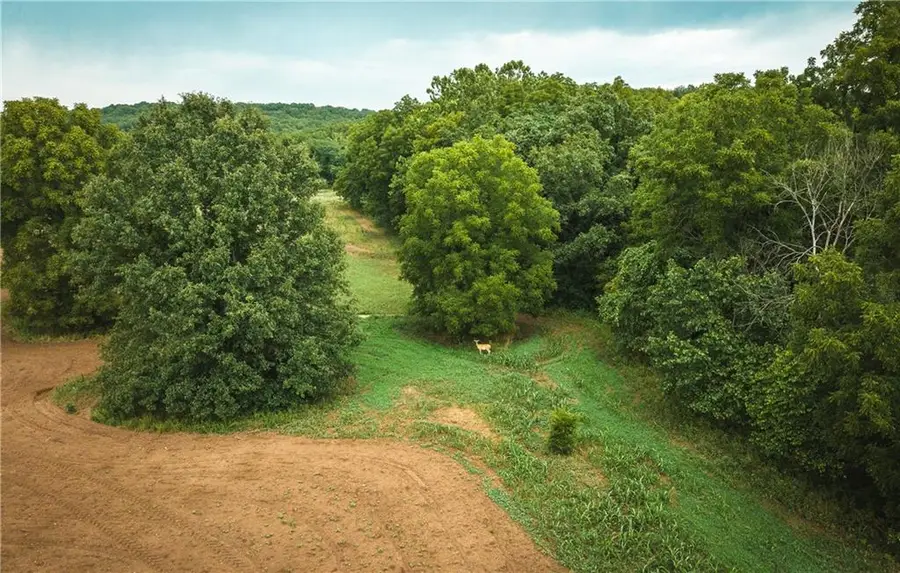 0 Knobby Creek Lane, Edwards, MO 65326 - #2