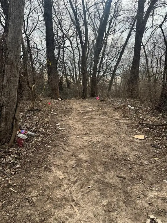 1209 Vermont Avenue, Kansas City, KS 66102 - #1