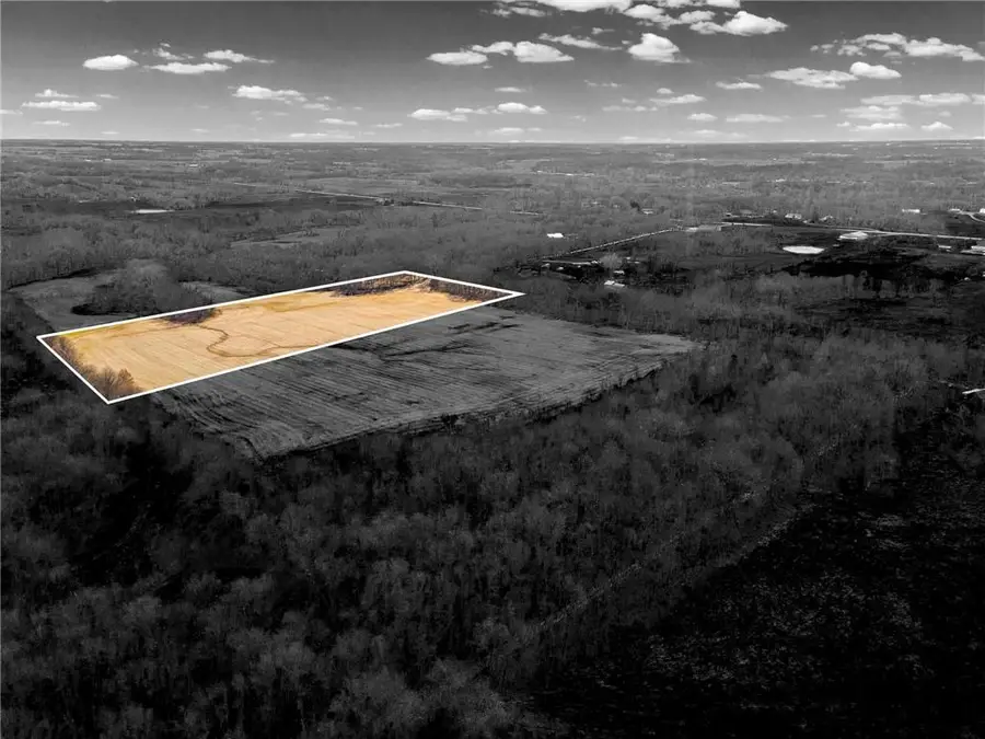 Lot 3 SW Brangus N/a, Lathrop, MO 64465 - #3