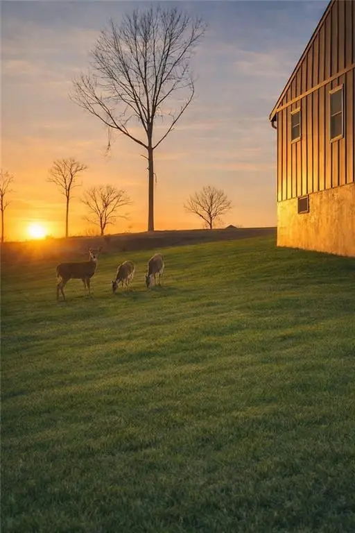 10436 E 41st Street, Kansas City, MO 64133 - #2