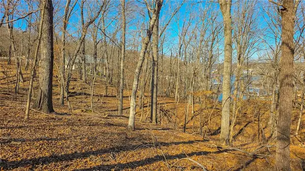 Lot #322 Oak Drive, Sunrise Beach, MO 65079