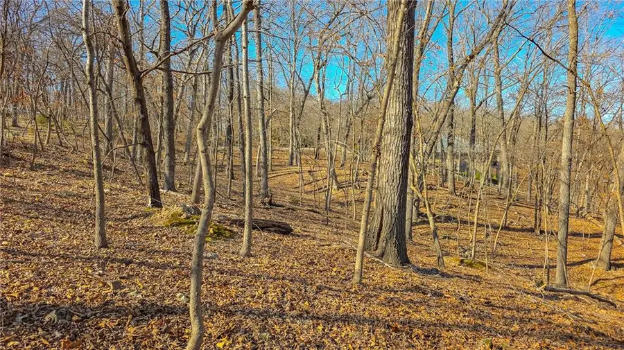 Lot #322 Oak Drive, Sunrise Beach, MO 65079 - #2