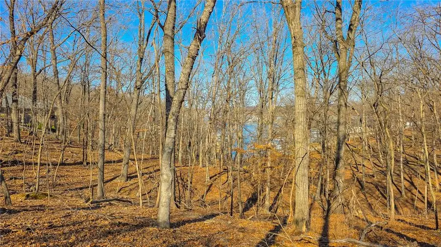 Lot #322 Oak Drive, Sunrise Beach, MO 65079 - #3