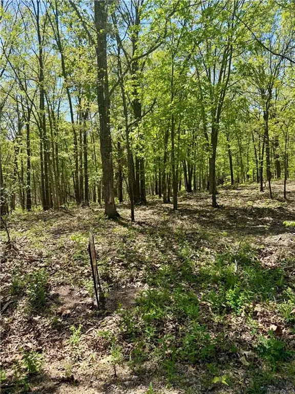 Cliff House Drive, Edwards, MO 65326