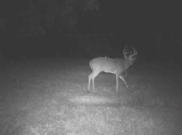 160th Terrace, Smithville, MO 64089 - #3