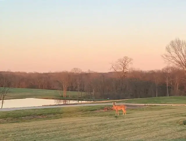 160 Terrace, Smithville, MO 64089 - #2