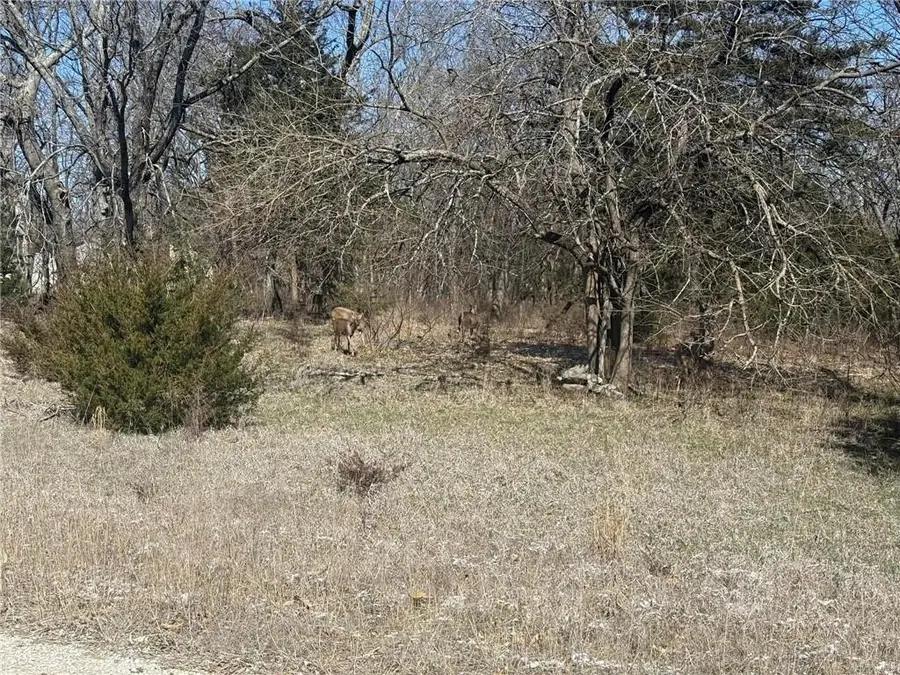 37 Poplar Lane, Linn Valley, KS 66040 - #2