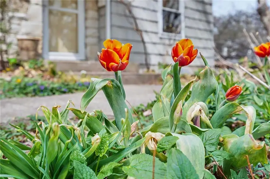 5212 W 57th Terrace, Roeland Park, KS 66205 - #3