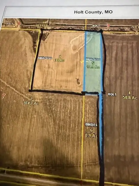 No Access Road, Bigelow, MO 64437 - #1