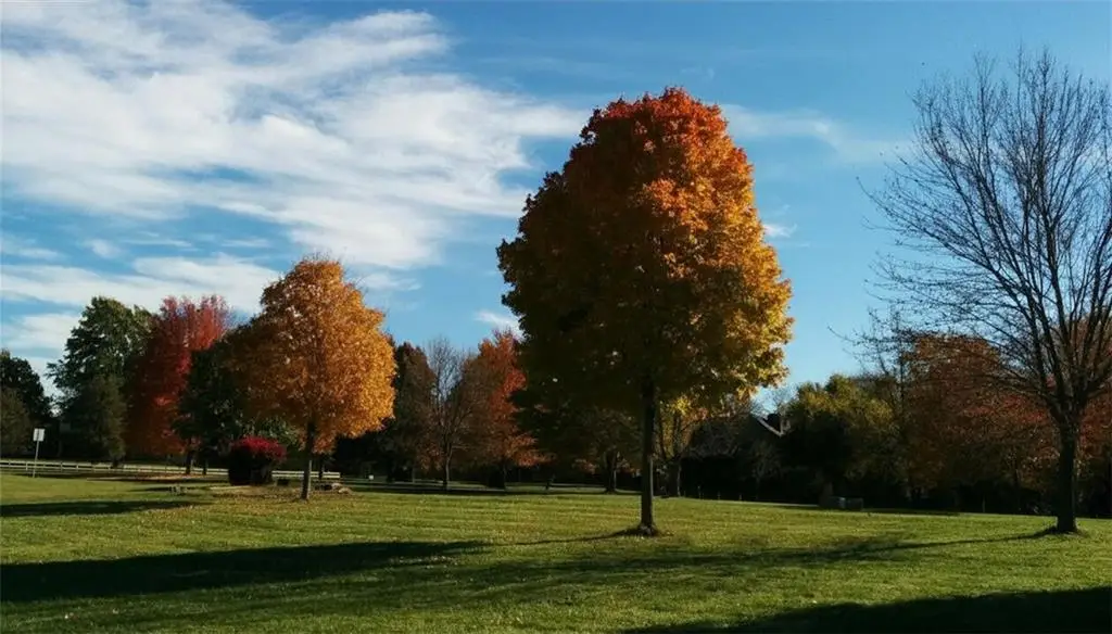 23700 E 88th Street, Lees Summit, MO 64064 - #1