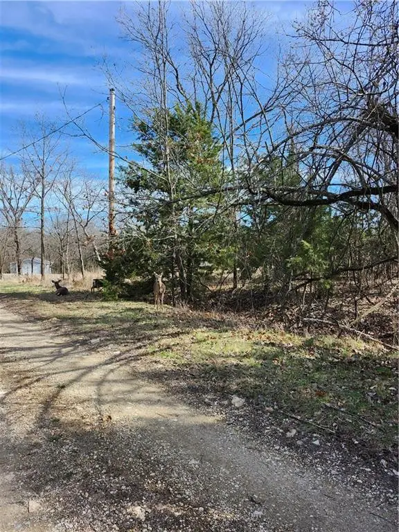 10 Scenic Valley Drive, Linn Valley, KS 66040 - #1