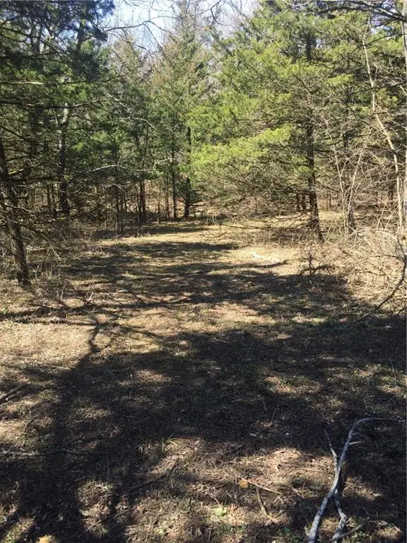 33 & 37 Sugar Lake Cove, Mound City, KS 66056 - #2