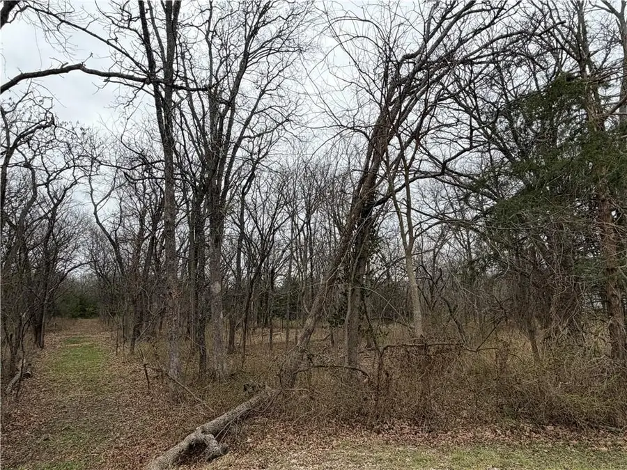 0000 Brown Avenue, Osawatomie, KS 66064 - #3