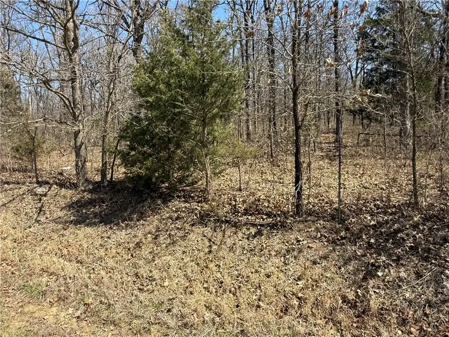 97 Highway, Jerico Springs, MO 64756 - #2