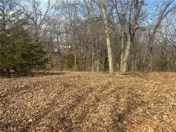 Lot 3109 Lake Viking Terrace, Altamont, MO 64620