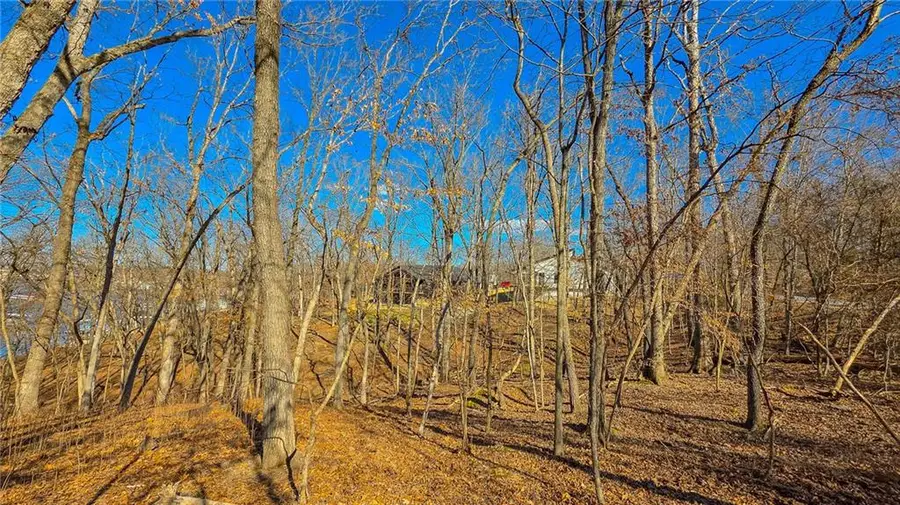Lot #323 Oak Drive, Sunrise Beach, MO 65079 - #2