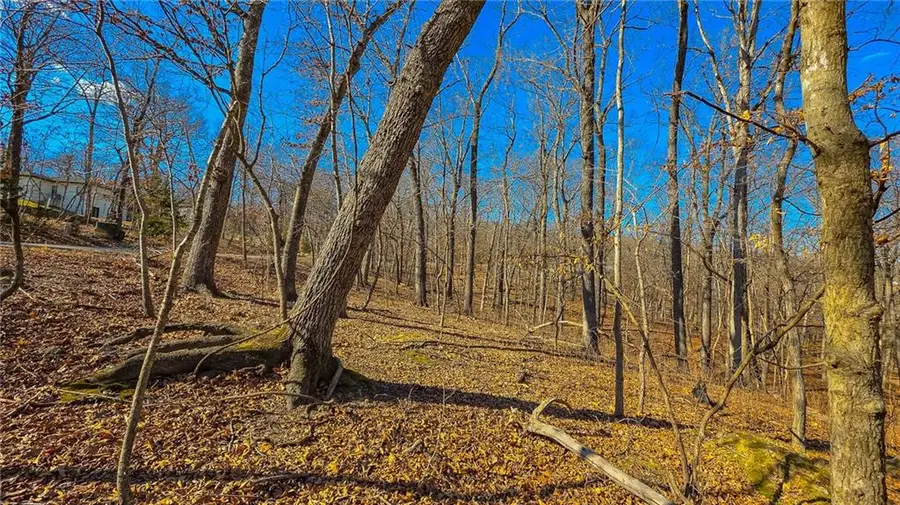 Lot #323 Oak Drive, Sunrise Beach, MO 65079 - #3
