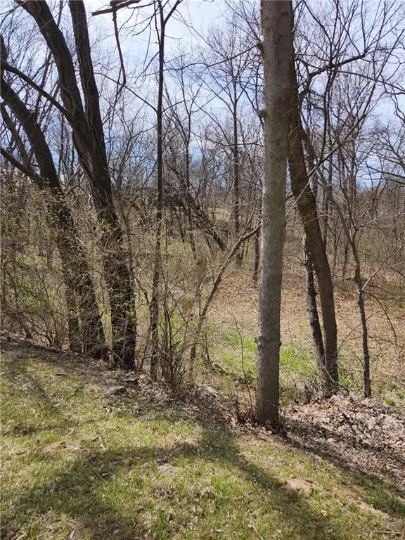 8823 Cleveland Avenue, Kansas City, KS 66109 - #2