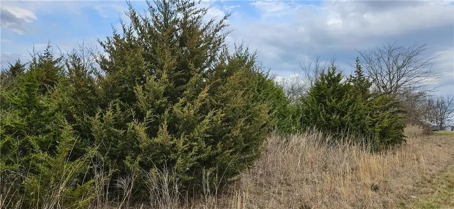 S State Route D Highway, Drexel, MO 64742 - #3