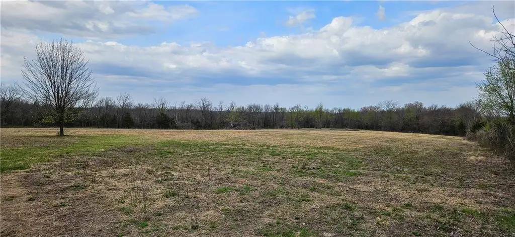 00000 S State Route D Highway, Drexel, MO 64742 - #1