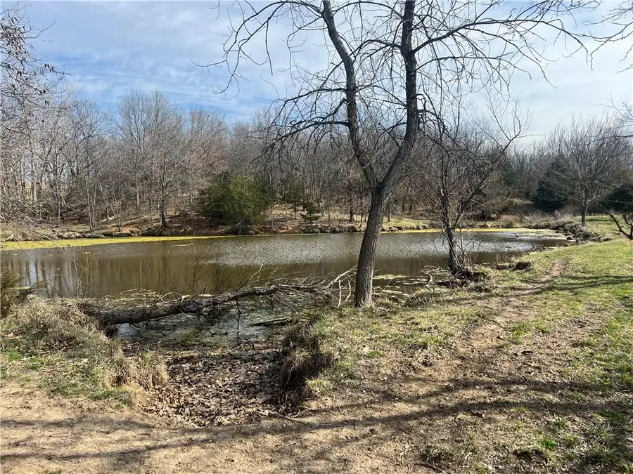 Petty Mill Trail, Unionville, MO 63565 - #3