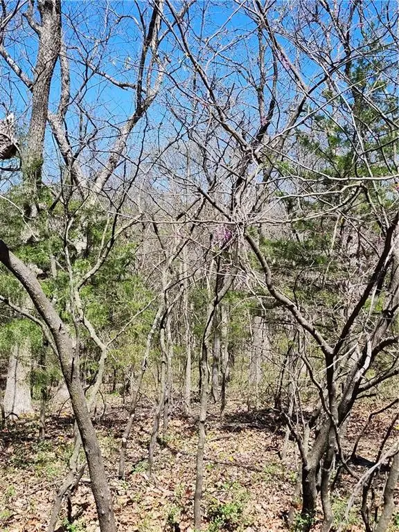 187 Wilderness Trail, Linn Valley, KS 66040 - #3