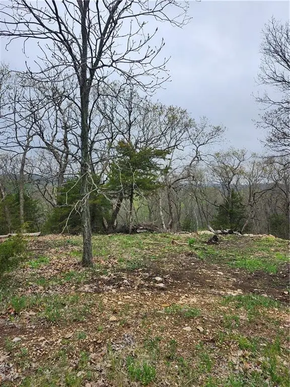 41 E Ridgewood Circle, Linn Valley, KS 66040 - #2