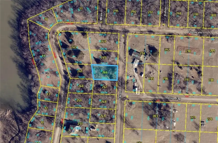 Plat D Lot 88 Raven Drive, Odessa, MO 64076 - #3