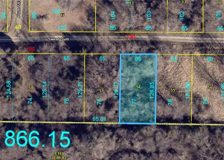 Plat E Lot 77 Sweet Gum Drive, Odessa, MO 64076 - #2