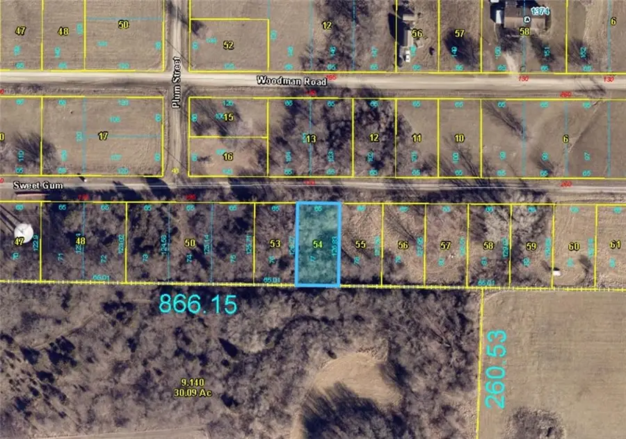Plat E Lot 77 Sweet Gum Drive, Odessa, MO 64076 - #3