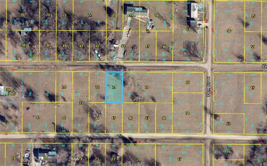 Plat E Lot 181 Pine Road, Odessa, MO 64076 - #3