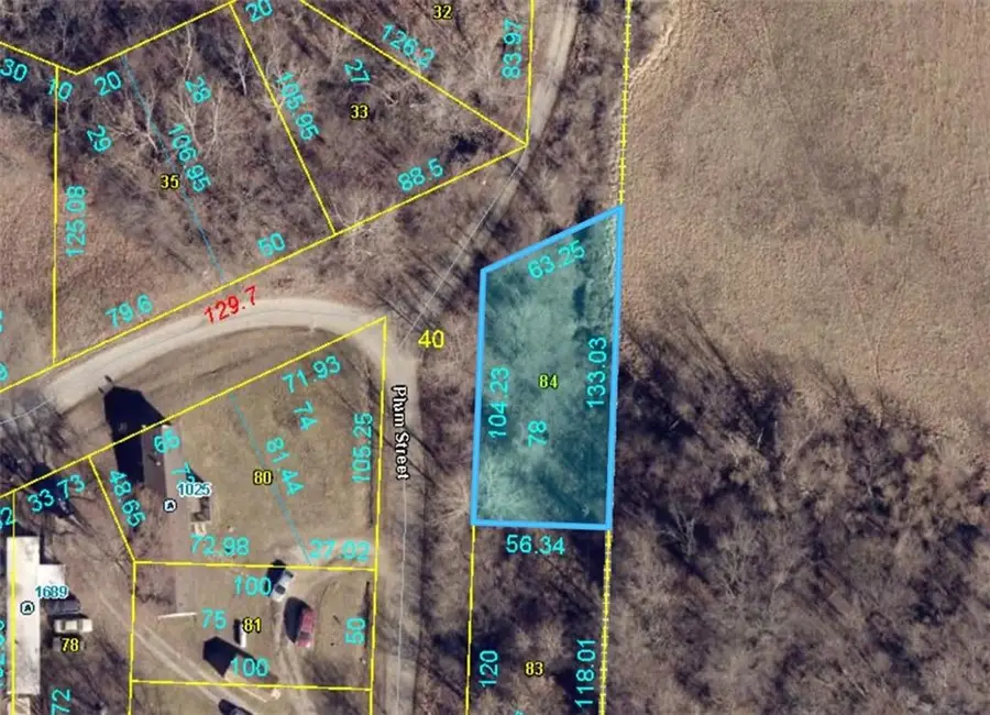 Plat F Lot 78 Plum Drive, Odessa, MO 64076 - #2