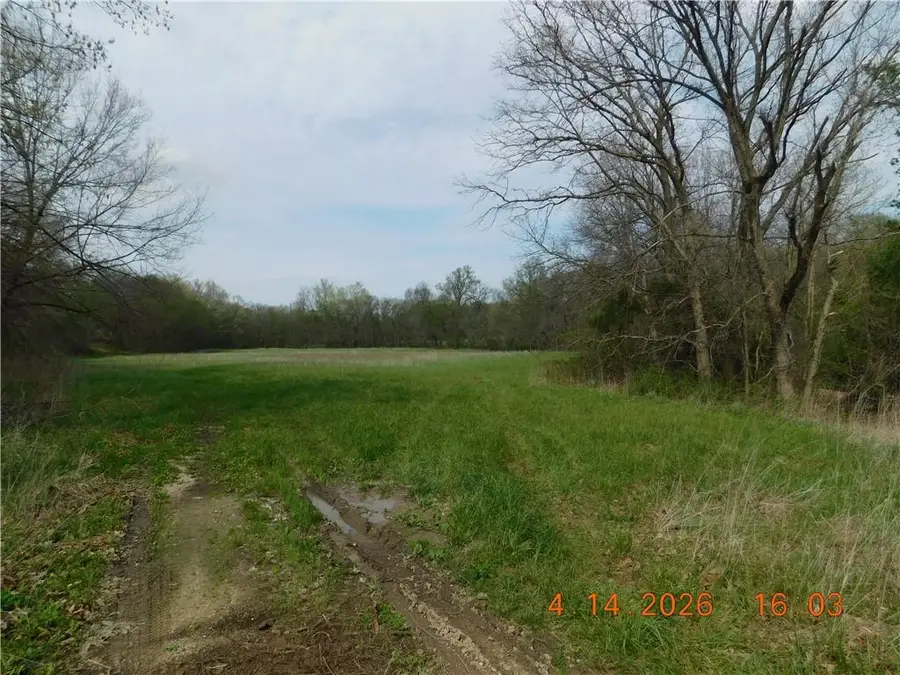 493 SW 1000 Road, Chilhowee, MO 64733 - #2