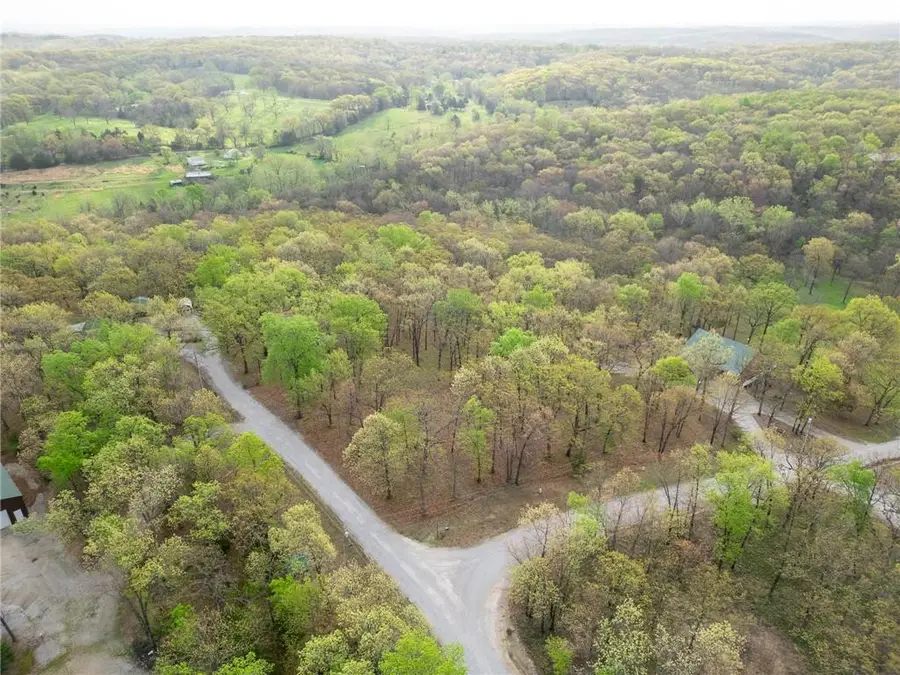 TBD Hummingbird Lane, Warsaw, MO 65355 - #3