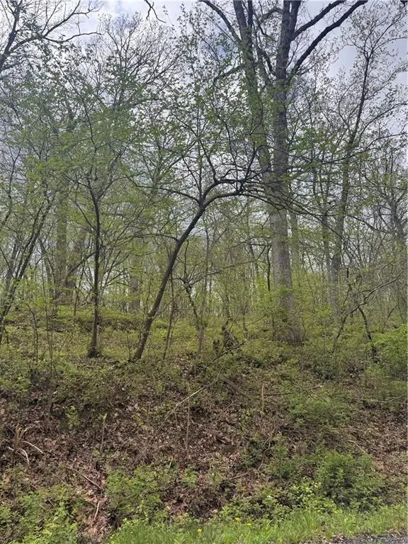 Lot 47-49 Park Lane, Oak Grove, MO 64075