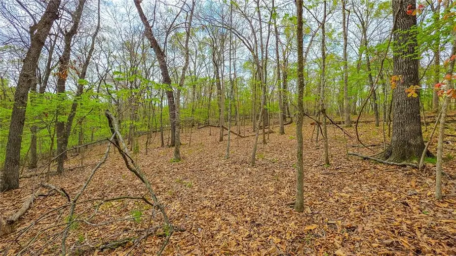 Lot #880 Muirfield Drive, Sunrise Beach, MO 65079 - #2