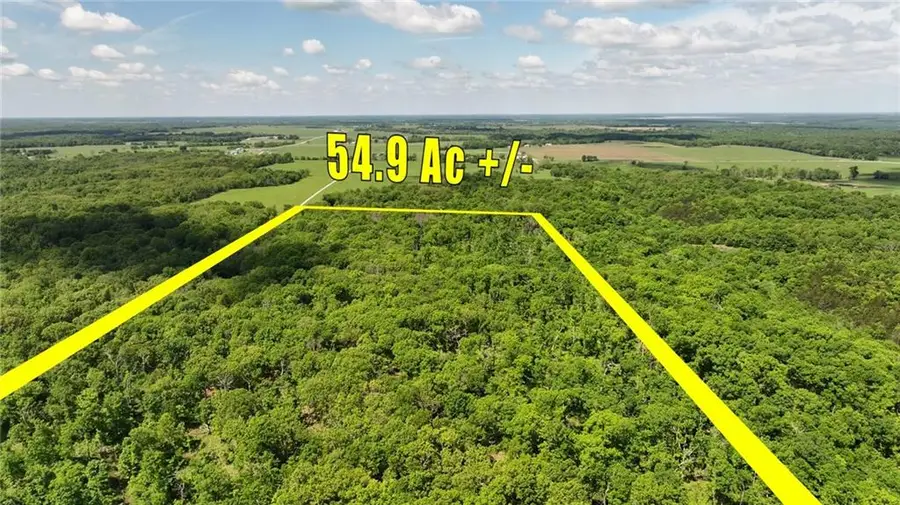 991 SE 976 Road, Deepwater, MO 64740 - #2
