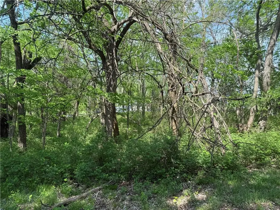 17 Black Oak Drive, Linn Valley, KS 66040 - #2