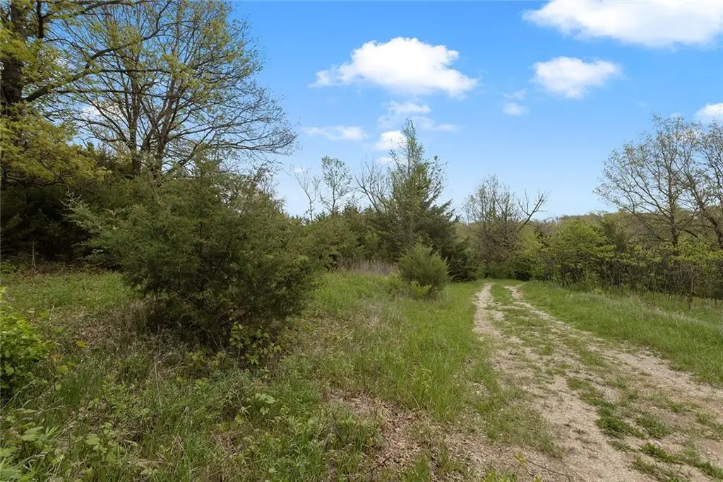 Lot 51 Crystal Drive, Excelsior Springs, MO 64024 - #1