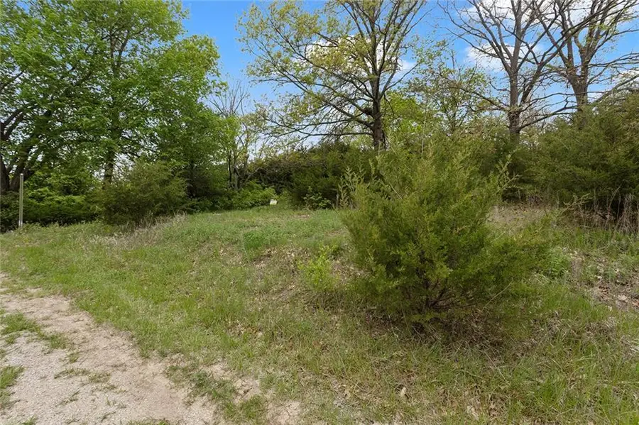 Lot 51 Crystal Drive, Excelsior Springs, MO 64024 - #3