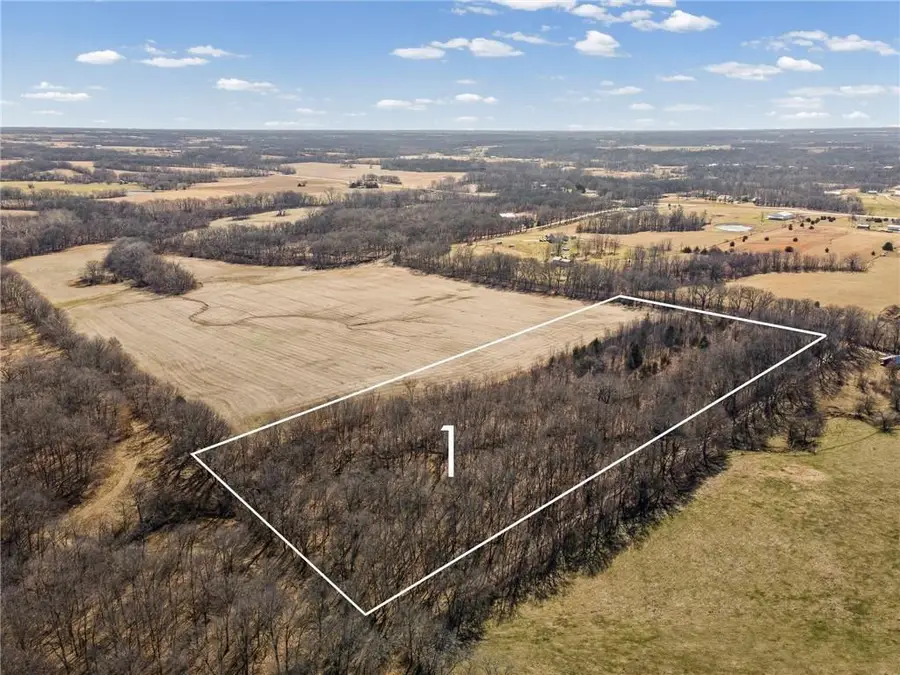 Lot 1 SW Brangus N/a, Lathrop, MO 64465 - #3