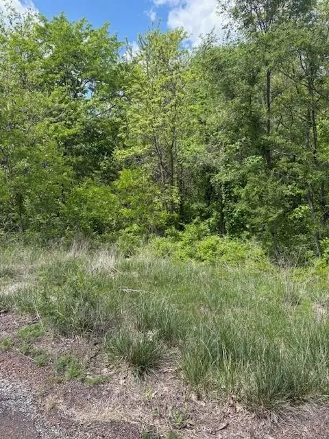 00000 177th Terrace, Leavenworth, KS 66048 - #2