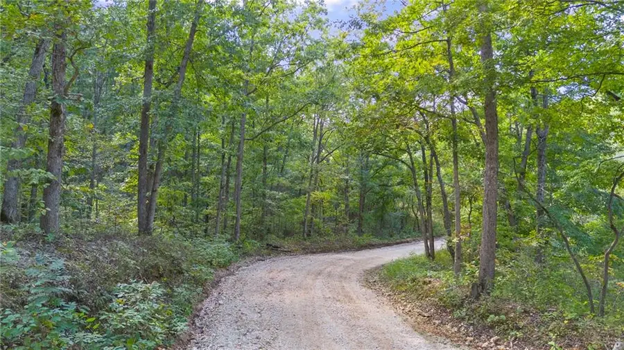 80 +/- Acres Proctor Lane, Gravois Mills, MO 65037 - #2