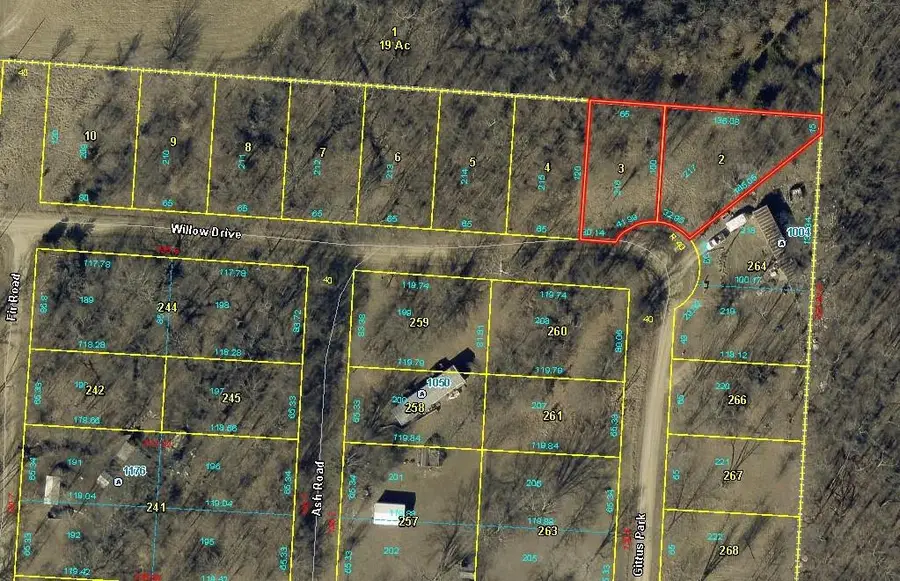 Plat H Lot 216&217 Willow Drive, Odessa, MO 64076 - #3