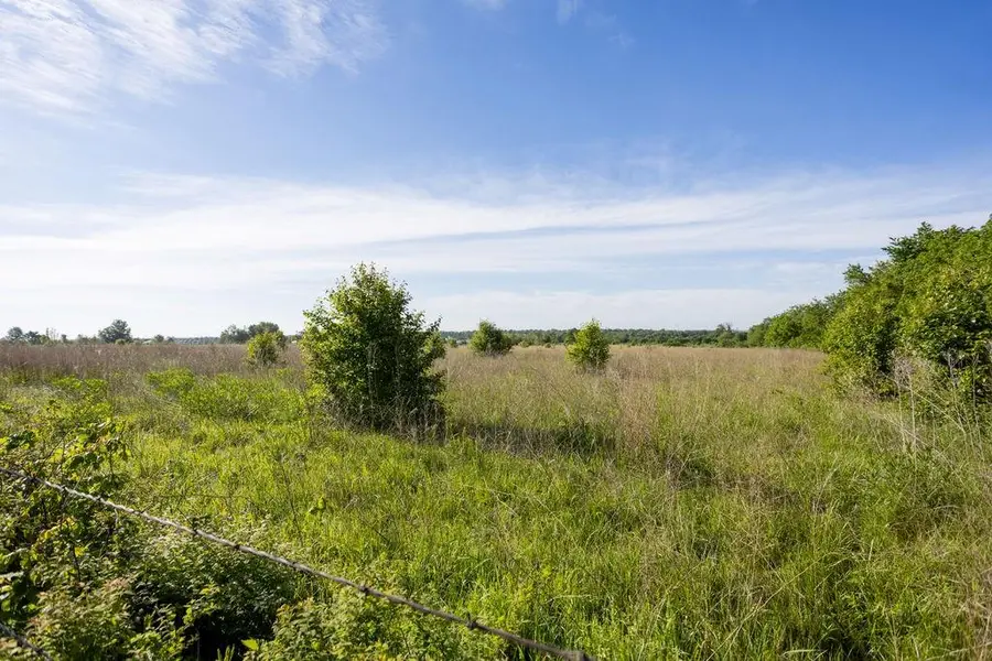 617 S U S 160 Highway, Golden City, MO 64748 - #2