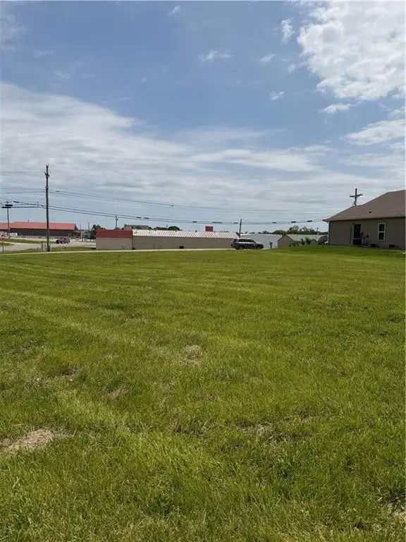 1910 Howenstein Street, Cameron, MO 64429