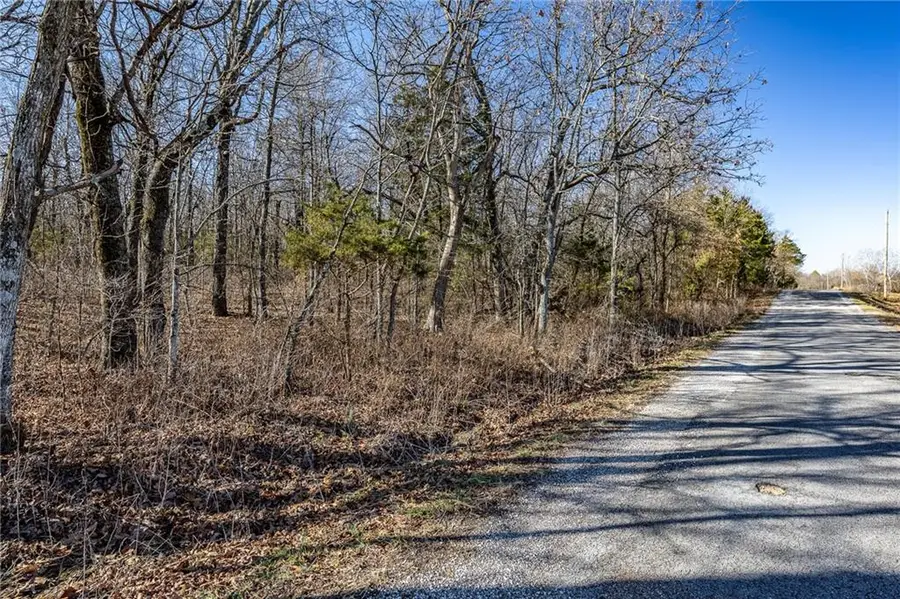 xx Tract 1 Lindley Road, Buffalo, MO 65622 - #3